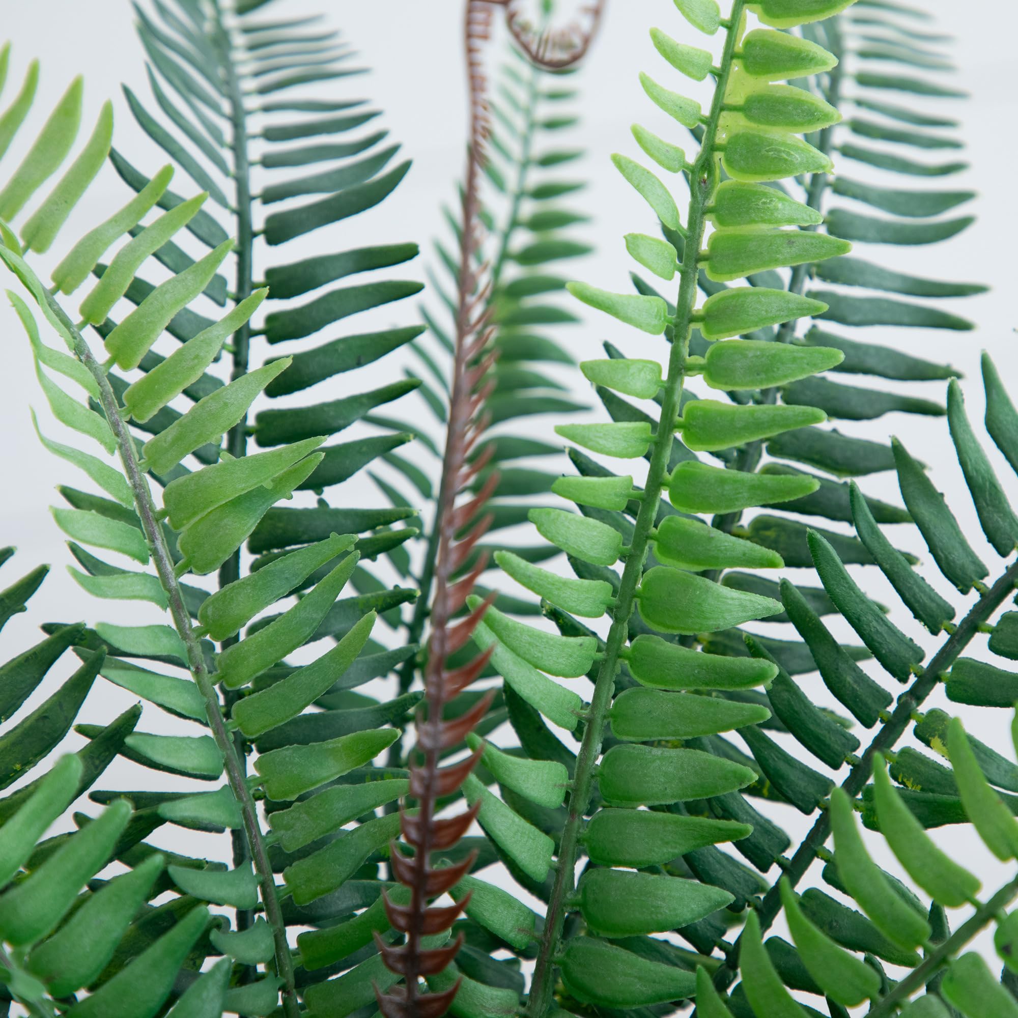 Nearly Natural 16-Inch Artificial Boston Fern Plant – Lifelike Greenery in Textured Cement Planter - Image 3