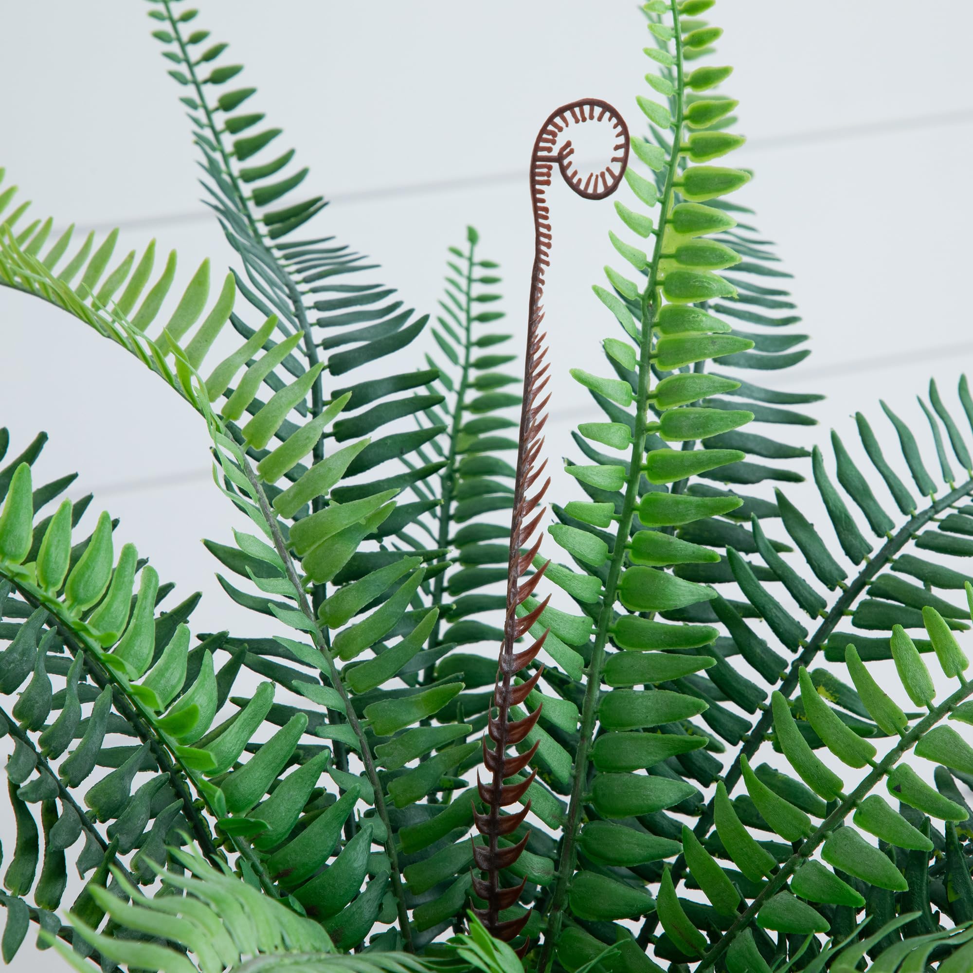 Nearly Natural 16-Inch Artificial Boston Fern Plant – Lifelike Greenery in Textured Cement Planter - Image 4