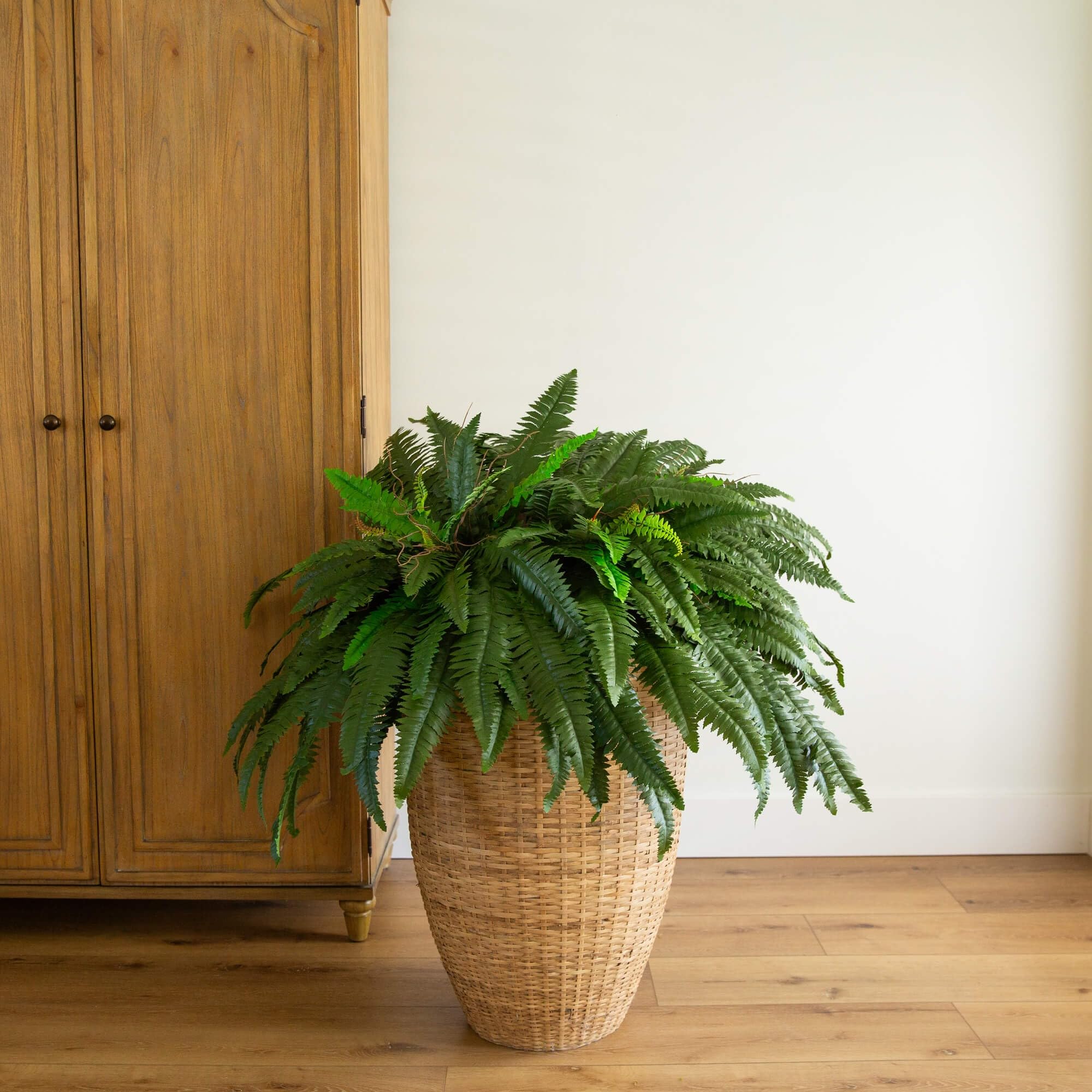 Nearly Natural 48in Artificial Boston Fern, Set of 2 - Large Hanging Fake Plant Wall Decor with 67 Fronds, Faux Fern Vines that Look Real for Home and Office Decor - Image 4
