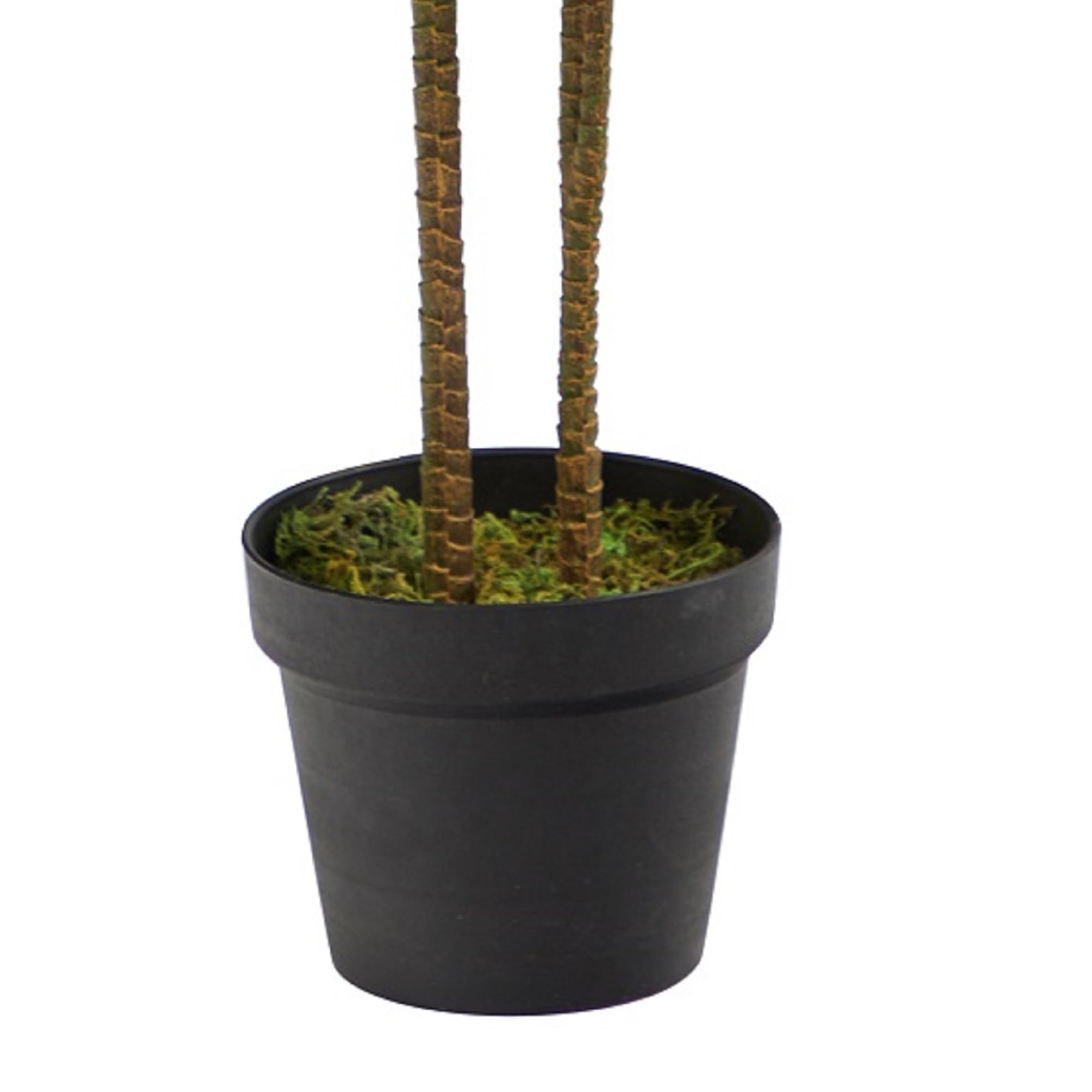 Nearly Natural 48in Artificial Dracaena with Real Touch Leaves and Multi Tonal Trunks, Large Indoor Silk Plant with Pot, Maintenance Free For Living Room And Home Office Decor - Image 6