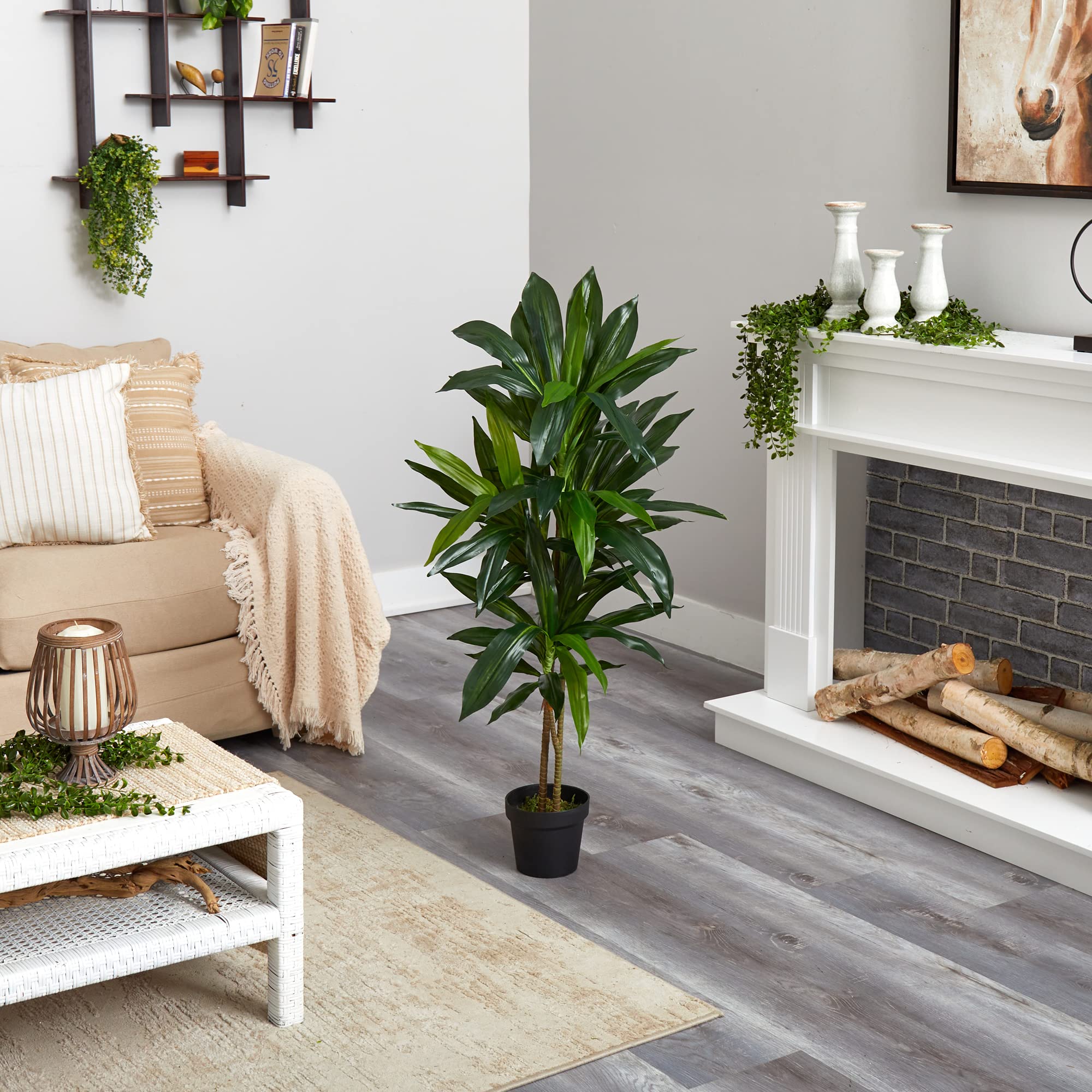 Nearly Natural 48in Artificial Dracaena with Real Touch Leaves and Multi Tonal Trunks, Large Indoor Silk Plant with Pot, Maintenance Free For Living Room And Home Office Decor - Image 8