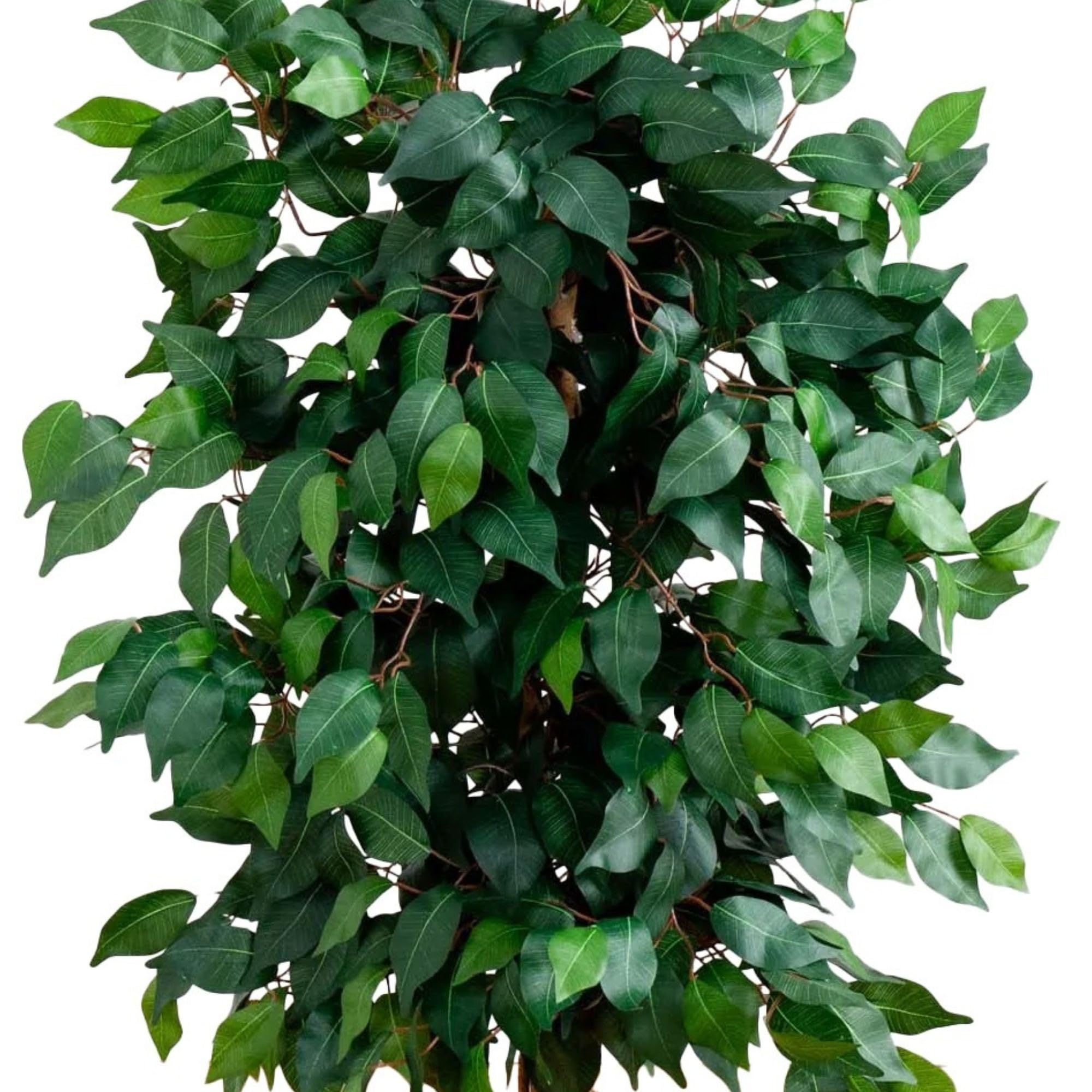 Nearly Natural 4ft Triple Trunk Artificial Ficus Tree With Natural Wood Trunks, Indoor Faux Ficus, Black Nursery Pot, Living Room Home Decor - Image 4