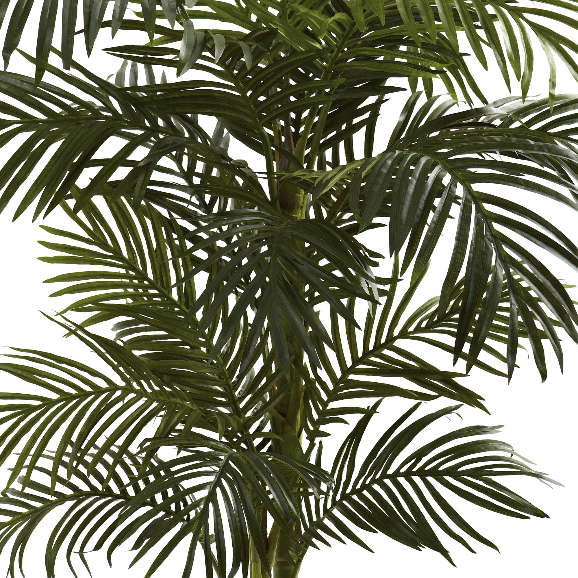 Nearly Natural 5ft Golden Cane Palm Double Stalk Artificial Tree, Faux Tropical Plant for Indoor Living Room Decor, Easy Set Up, Low Maintenance - Image 5