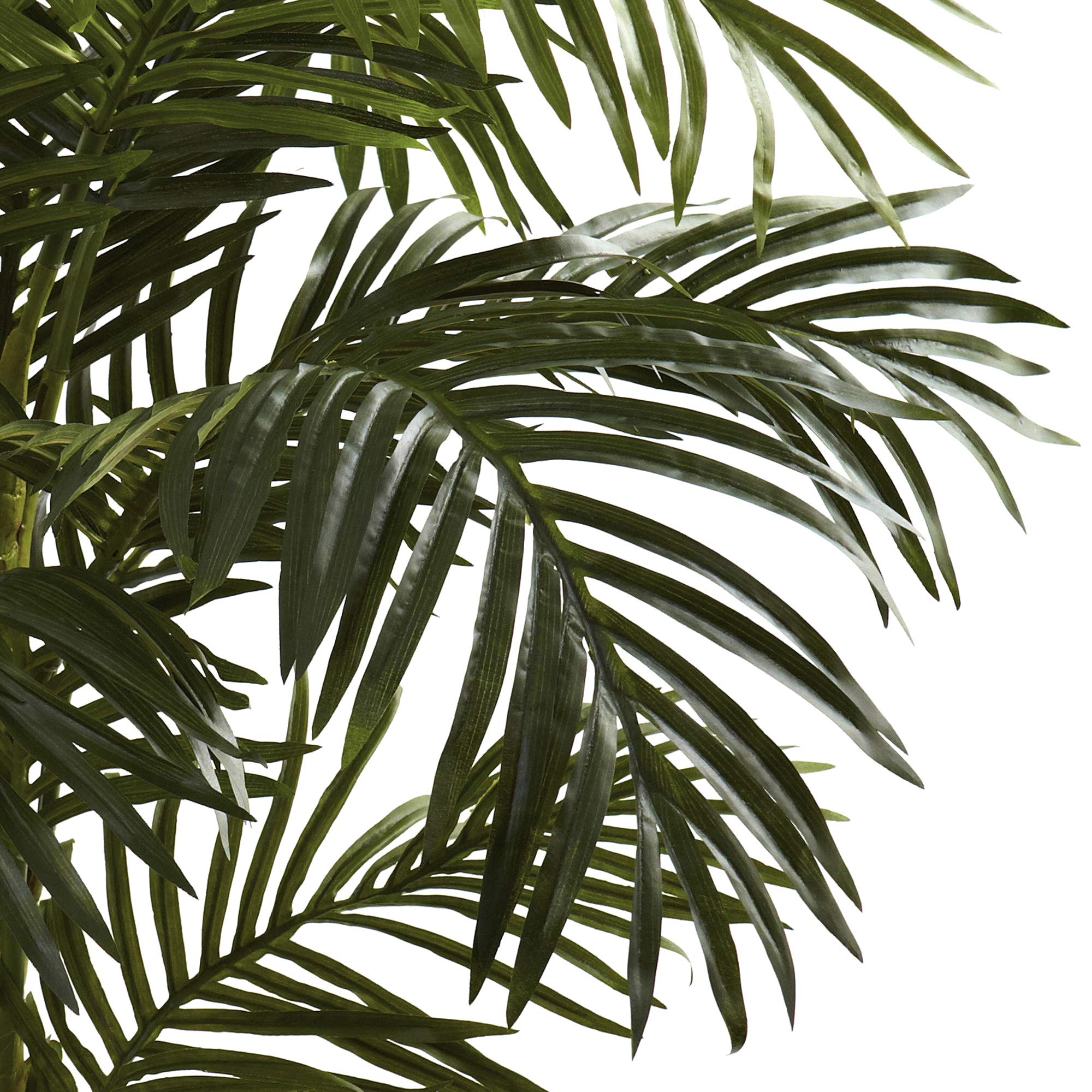 Nearly Natural 5ft Golden Cane Palm Double Stalk Artificial Tree, Faux Tropical Plant for Indoor Living Room Decor, Easy Set Up, Low Maintenance - Image 7