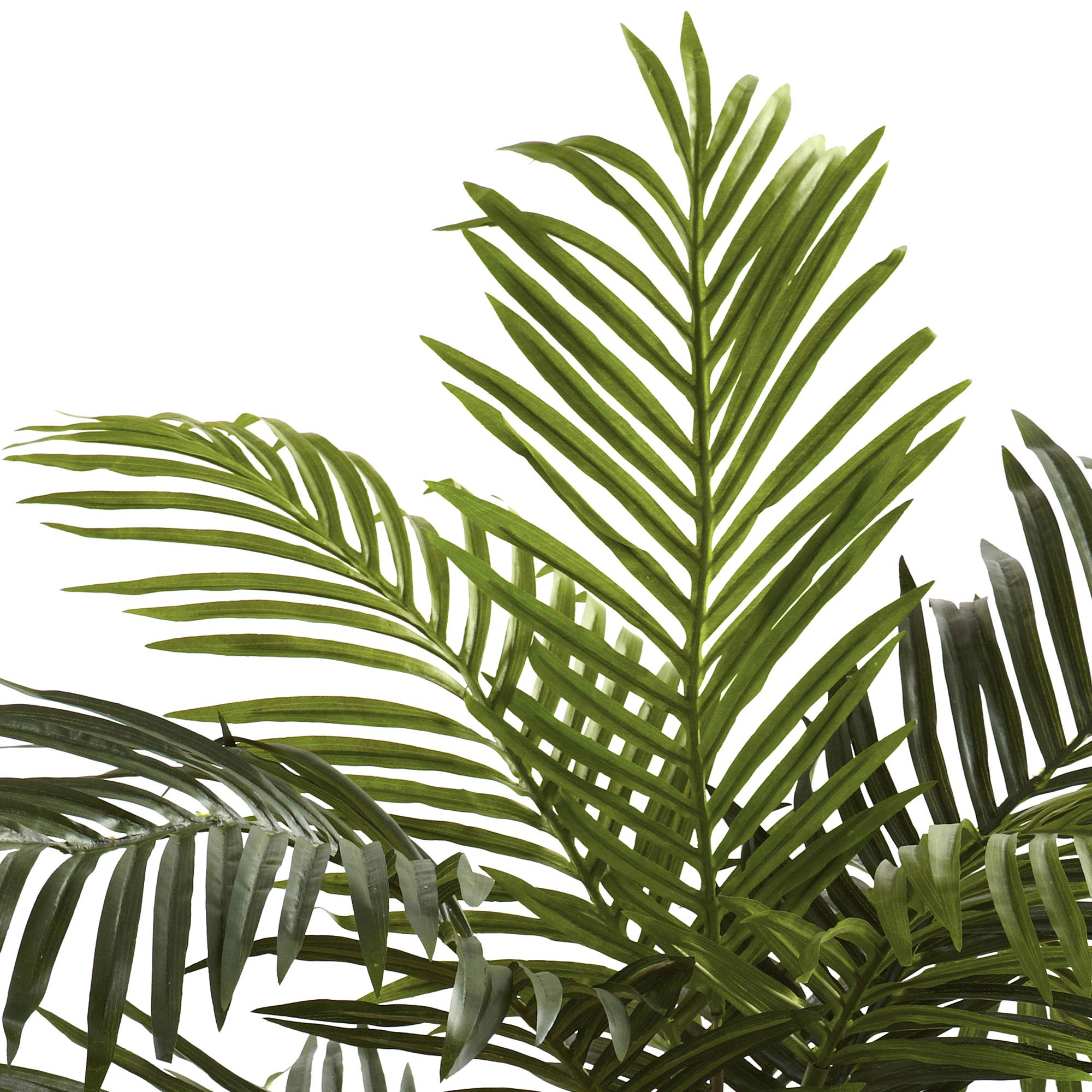 Nearly Natural 5ft Golden Cane Palm Double Stalk Artificial Tree, Faux Tropical Plant for Indoor Living Room Decor, Easy Set Up, Low Maintenance - Image 8