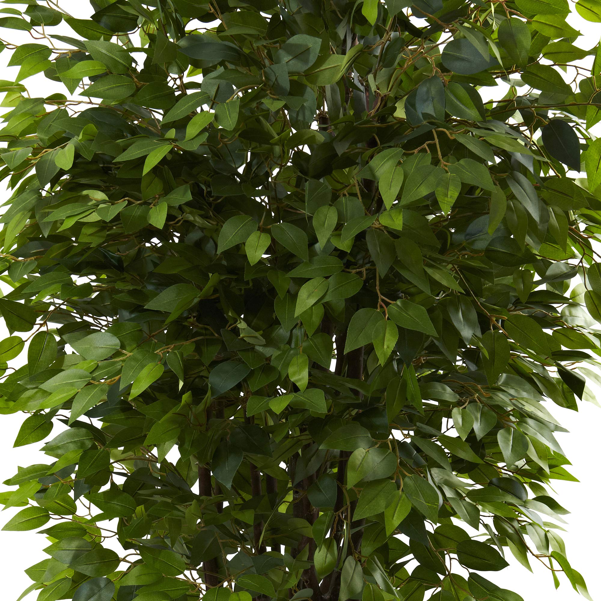 Nearly Natural 6.5FT Artificial Deluxe Ficus Tree for Indoor Home Décor, Large Fake Plant with Black Nursery Planter, Faux Ficus Tree - Image 5