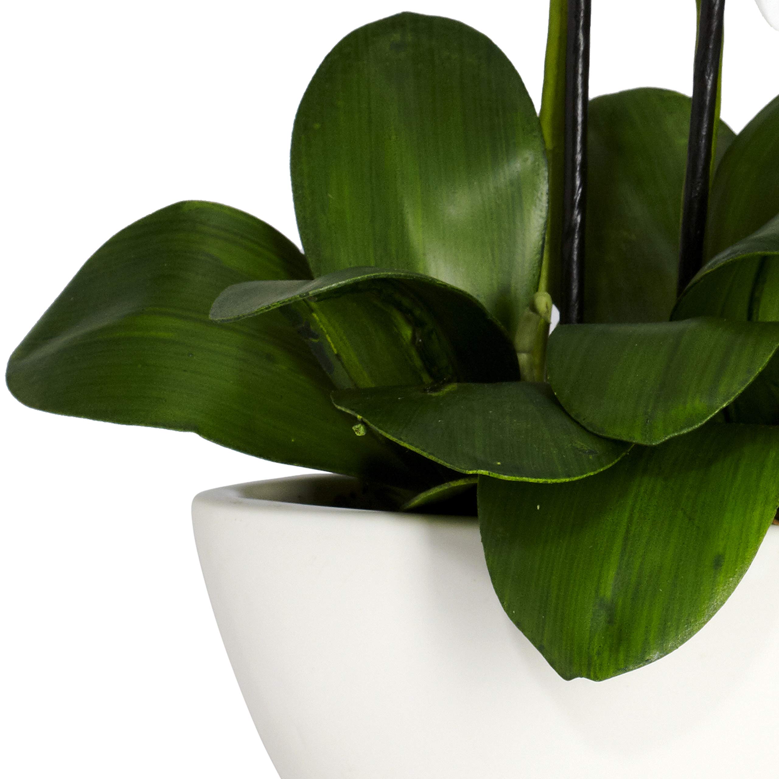 Nearly Natural Phalaenopsis Silk Flower Arrangement - Image 8